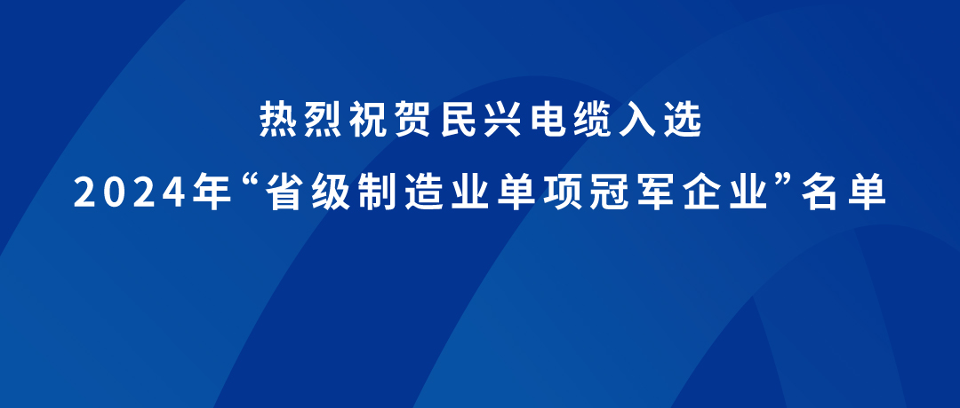 VR彩票榮獲廣東省制造業單項冠軍！
