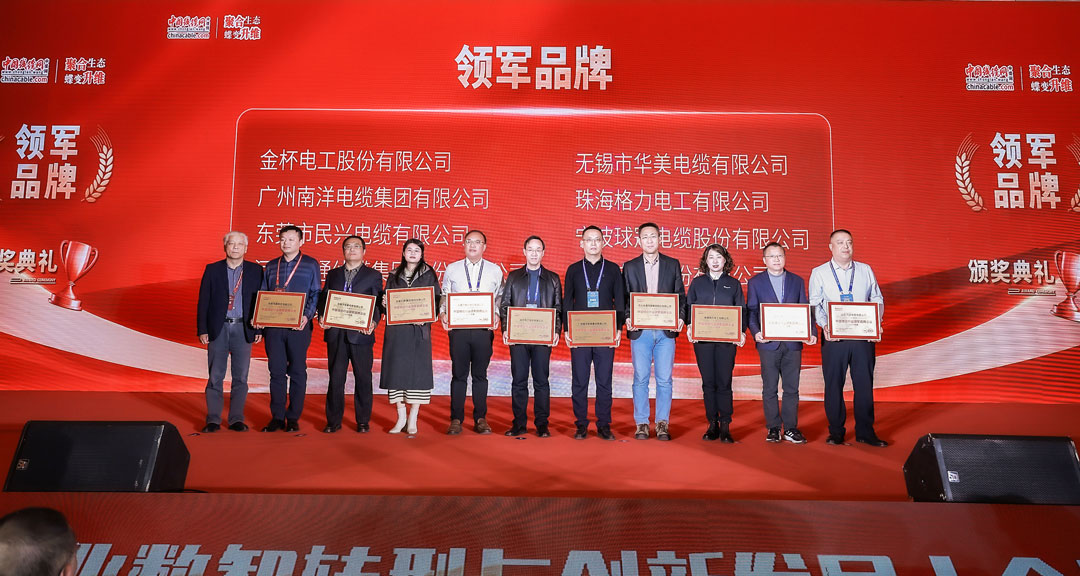 VR彩票榮獲中國線纜行業領軍品牌企業！