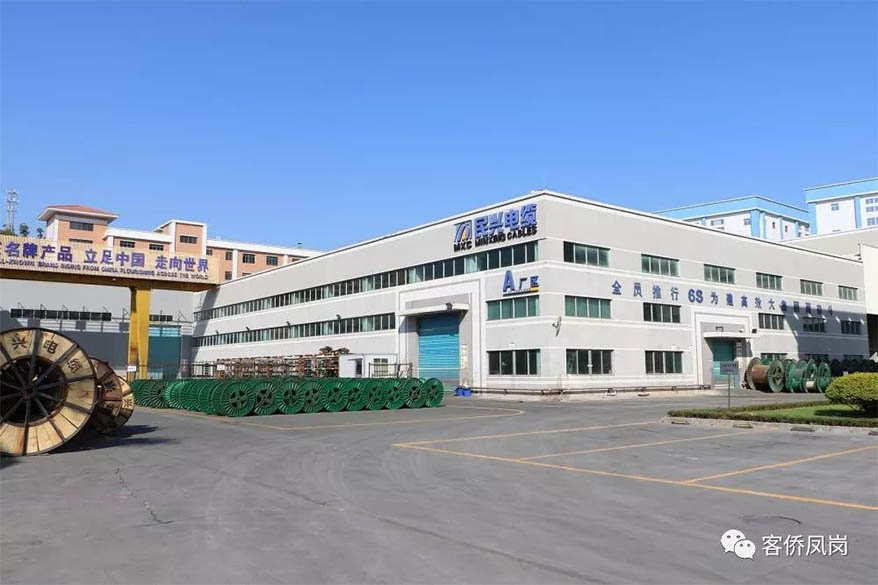 黨建引航 | 堅(jiān)守初心與使命——  VR彩票接受鳳崗電視臺(tái)采訪和報(bào)道