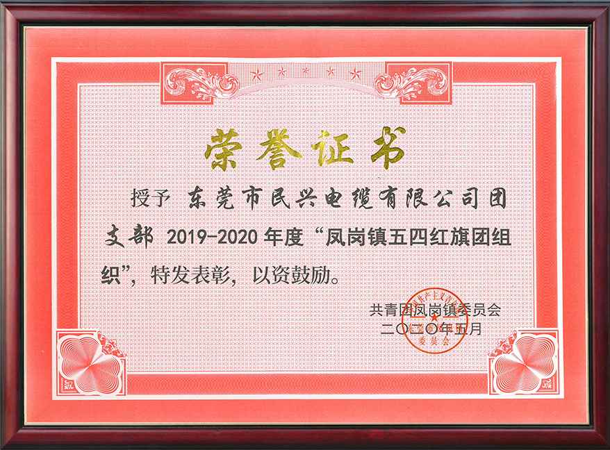  VR彩票團(tuán)支部獲“鳳崗鎮(zhèn)五四紅旗團(tuán)組織“稱號(hào)