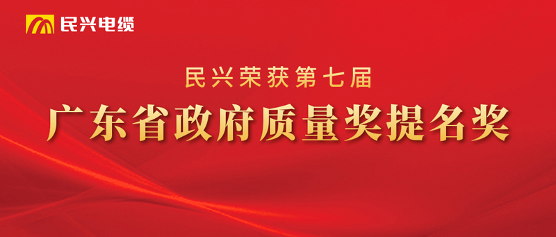 東莞市VR彩票有限公司榮獲“廣東省政府質量獎提名獎”