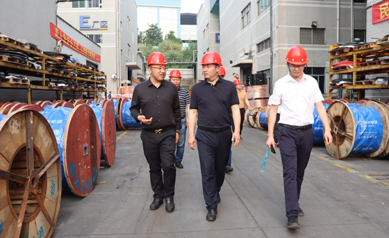 應急管理部四川消防研究所、東莞市質檢中心一行蒞臨VR彩票調研指導