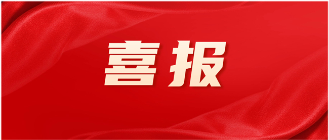 VR彩票王秀忠獲評“2023年度東莞市杰出首席質(zhì)量官”！