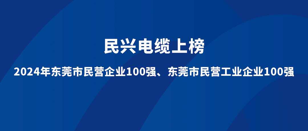 VR彩票位列第15位！2024年東莞市民營工業企業100強榜單發布
