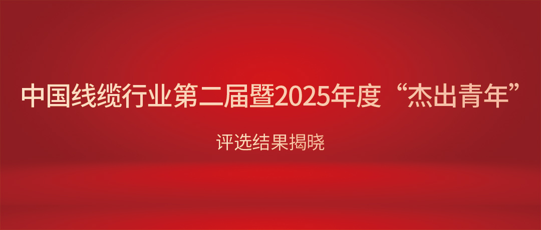 熱烈祝賀VR彩票總經理楊彥榮獲中國線纜行業“杰出青年”！